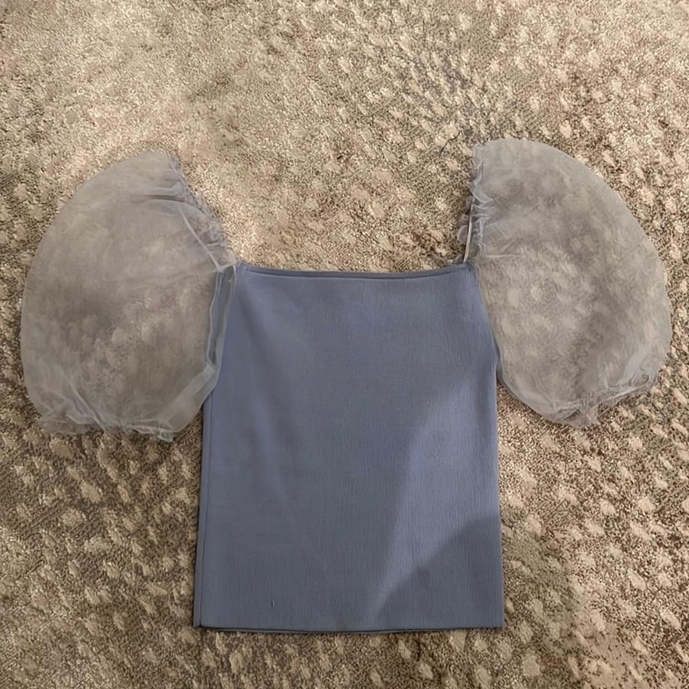 Zara puff sleeve top